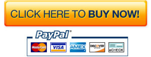 PayPal_Buy_Now_Button
