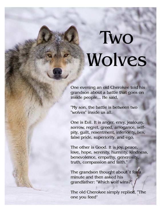 The Story of Two Wolves